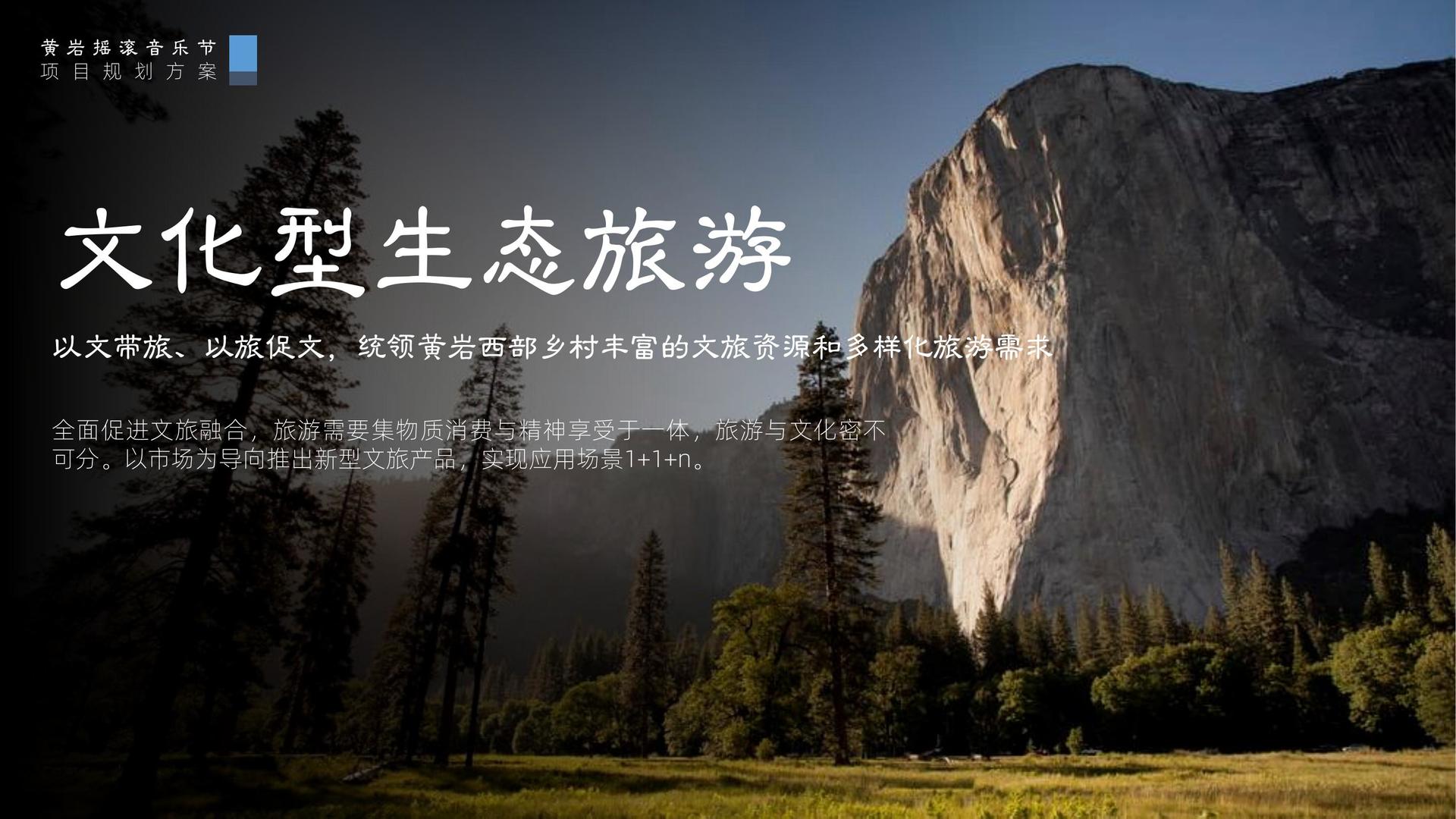 盛山传媒承办青年文化发展专题论坛